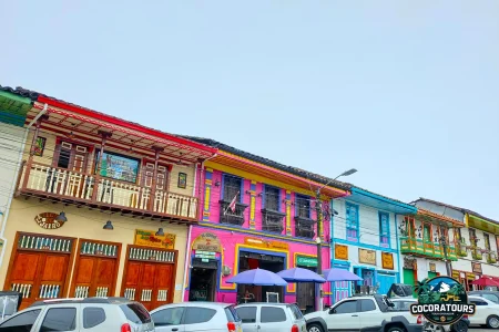 Pasadía Valle del Cocora, Salento y Filandia Quindio