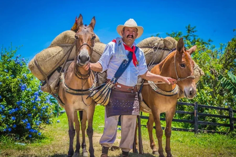 Plan Valle del Cocora, Parque los Arrieros y termales S. Rosa