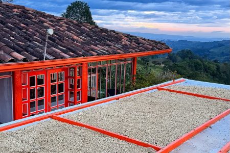 Finca de café finca cafetera Entrebosques