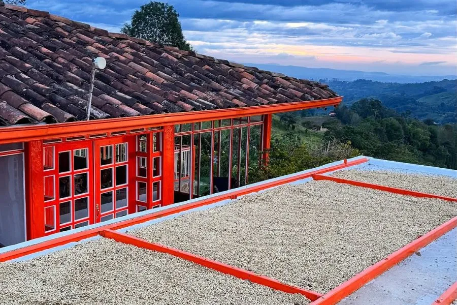 Finca de café finca cafetera Entrebosques