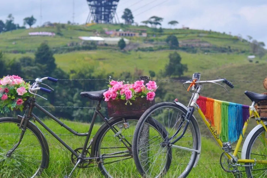 Tour en bicicleta por el municipio de Filandia