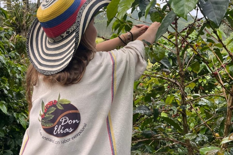 Pasadia Finca de cafe rio y las cascadas