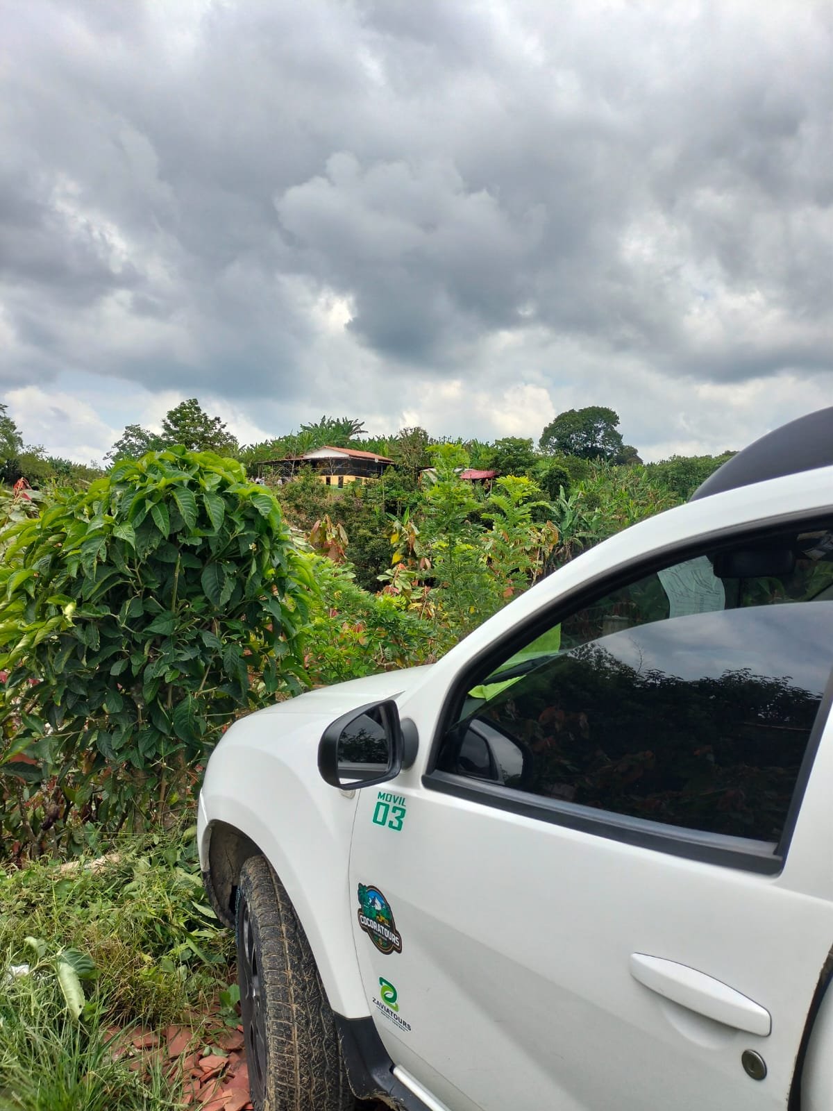 Tour Pasadía de Cacao y finca cafetera en Salento: Experiencia Inmersiva