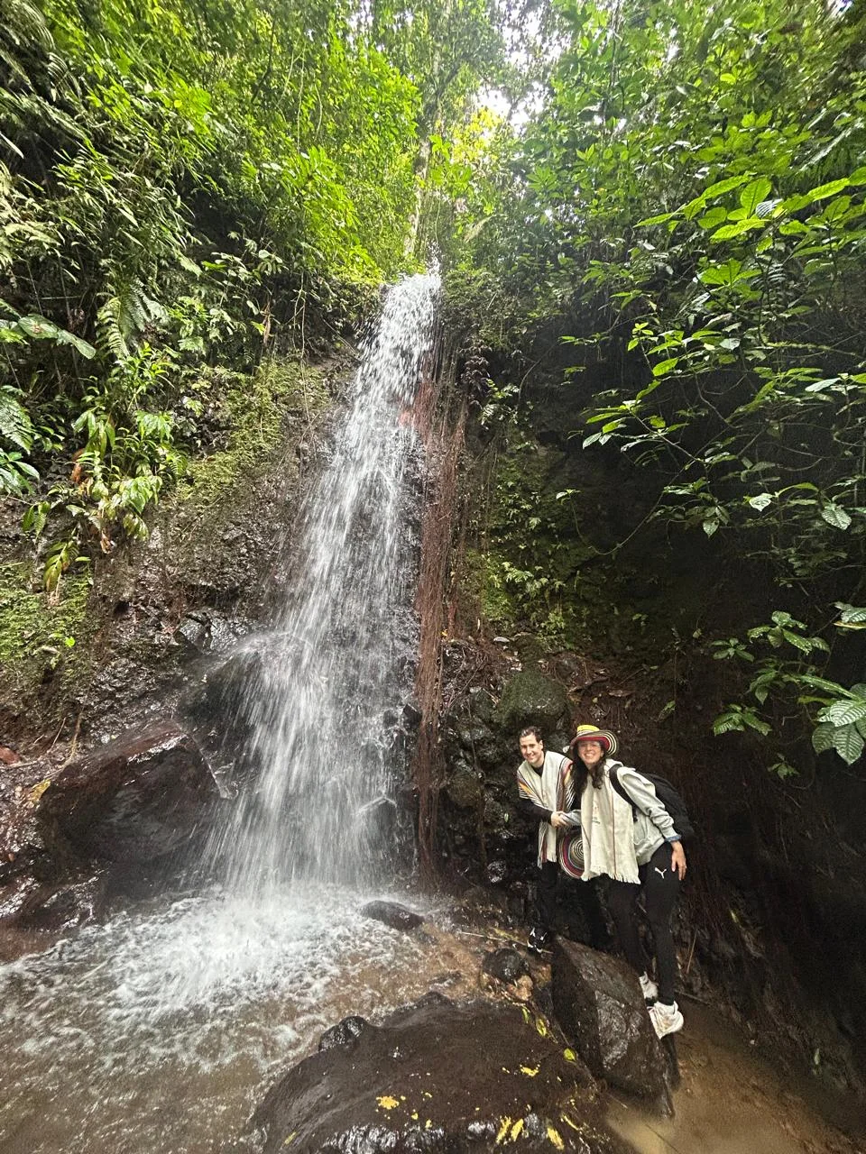 Tour pasadia Avistamiento de Monos Aulladores y Filandia Quindio