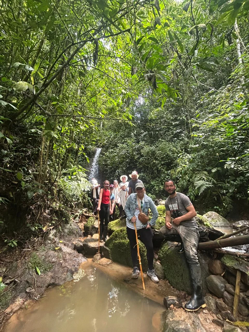 Tour pasadia Avistamiento de Monos Aulladores y Filandia Quindio