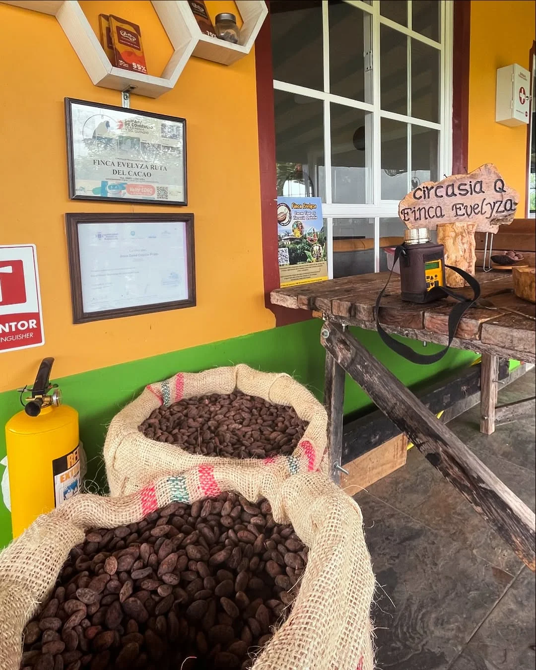 Tour Pasadía de Cacao y finca cafetera en Salento: Experiencia Inmersiva
