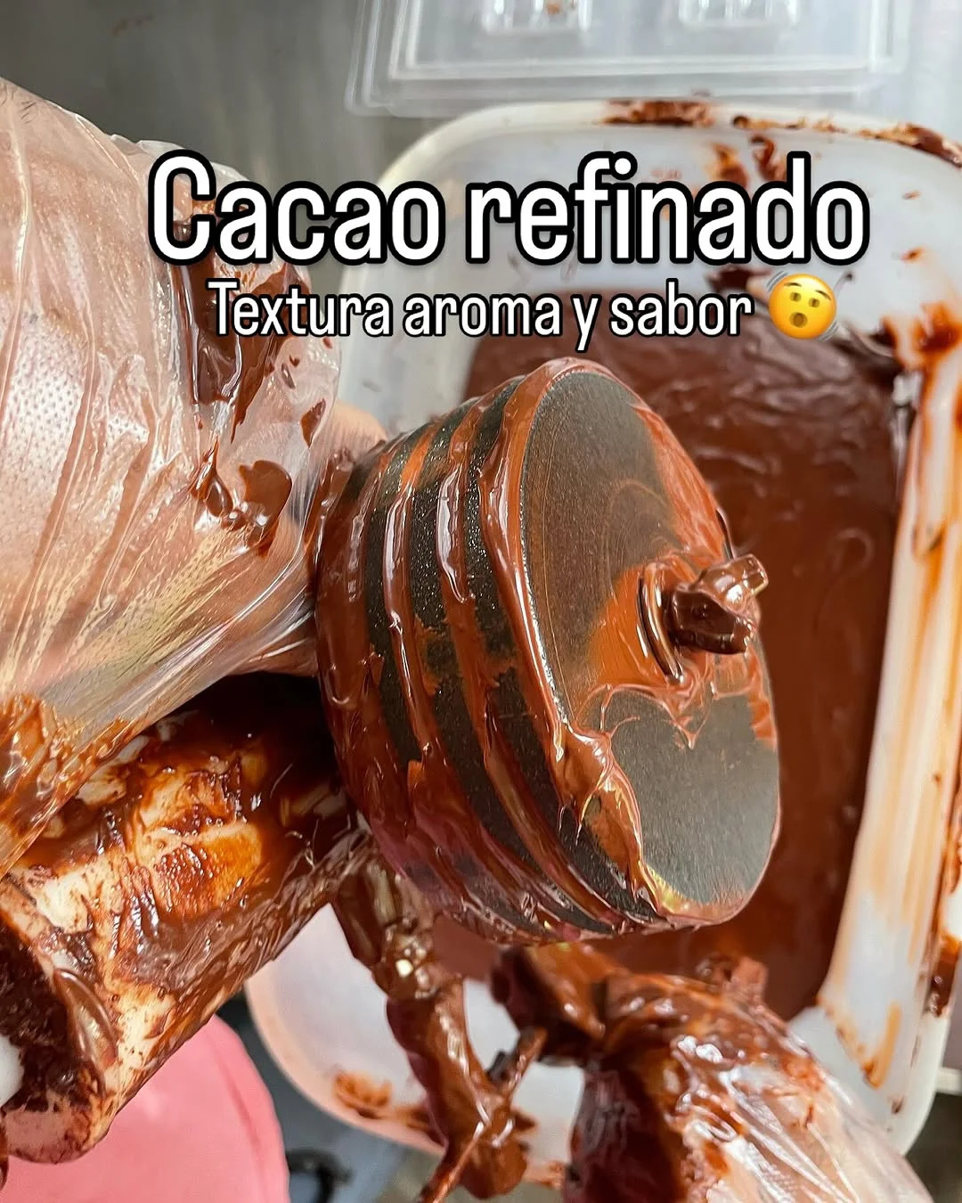 Tour Pasadía de Cacao y finca cafetera en Salento: Experiencia Inmersiva