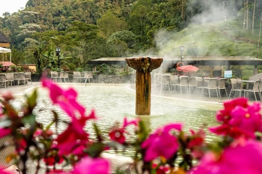 Plan santuario de palmas la Carbonera filandia y cafeteras