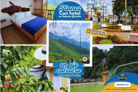 Plan Valle de cocora, filandia con monos, cafe y termales