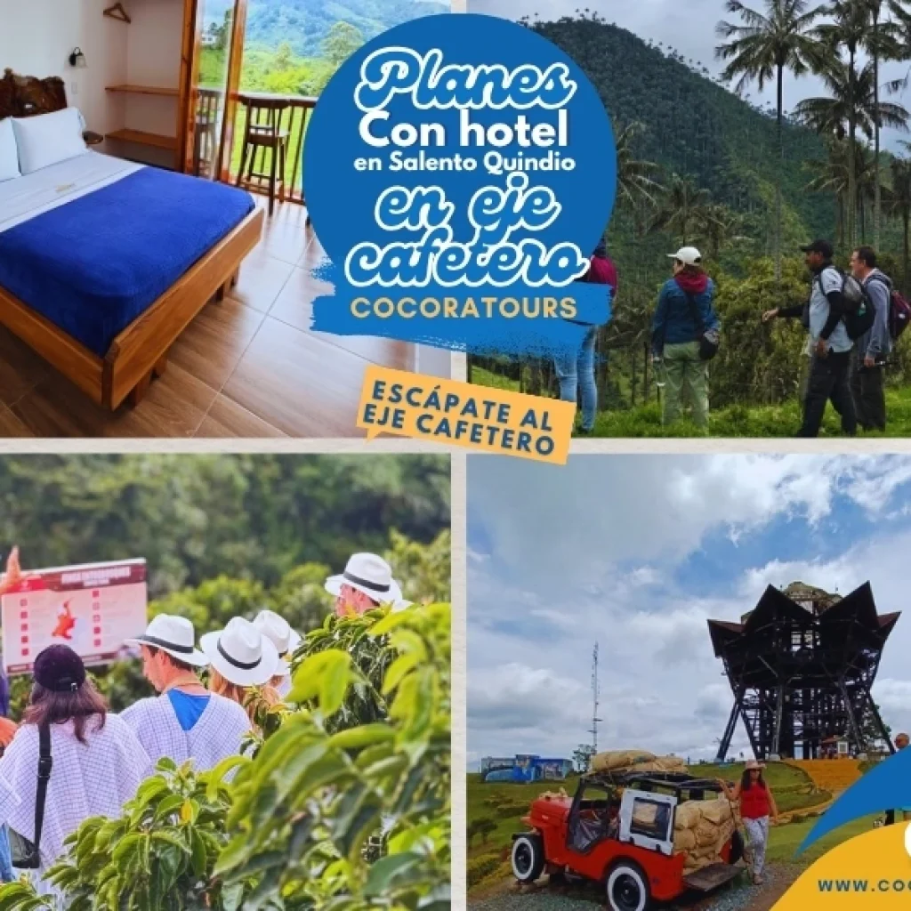 La Carbonera en imágenes