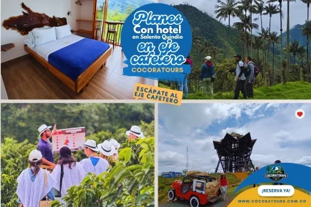 Plan santuario de palmas la Carbonera filandia y cafeteras