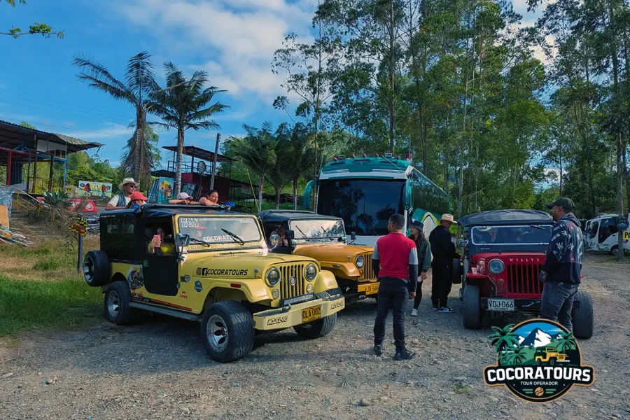 Cocora Grupos