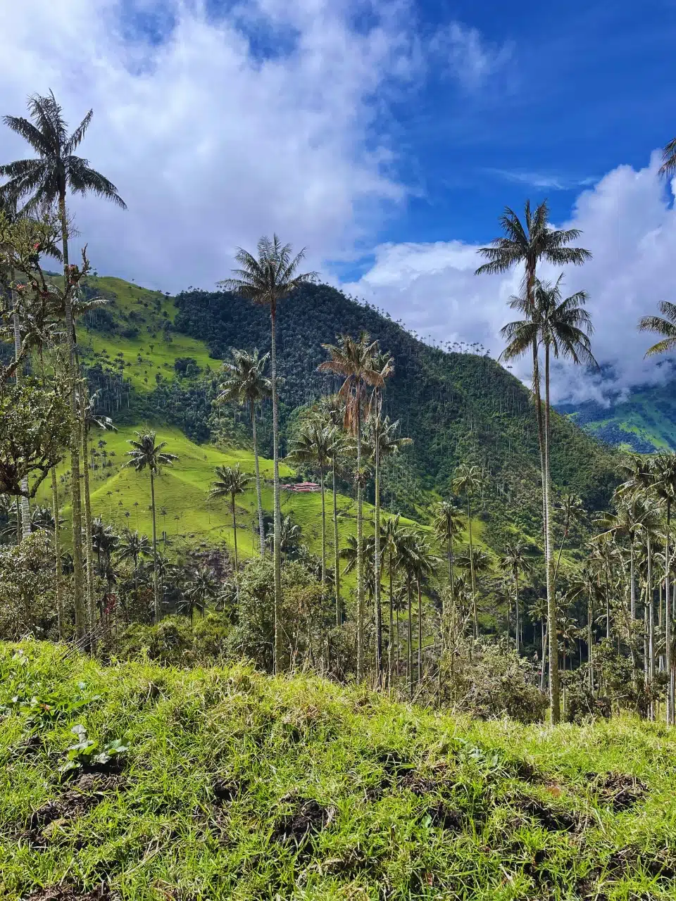 Tour completo la carbonera, la cascada y la finca el Roció