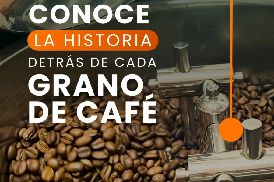 Coffee Tour finca cafetera Greencup