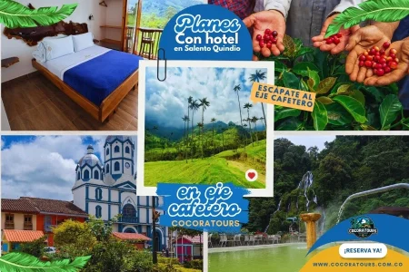 Plan Valle del cocora, fincas de cafe, filandia con tour del cacao y termales de Santa rosa