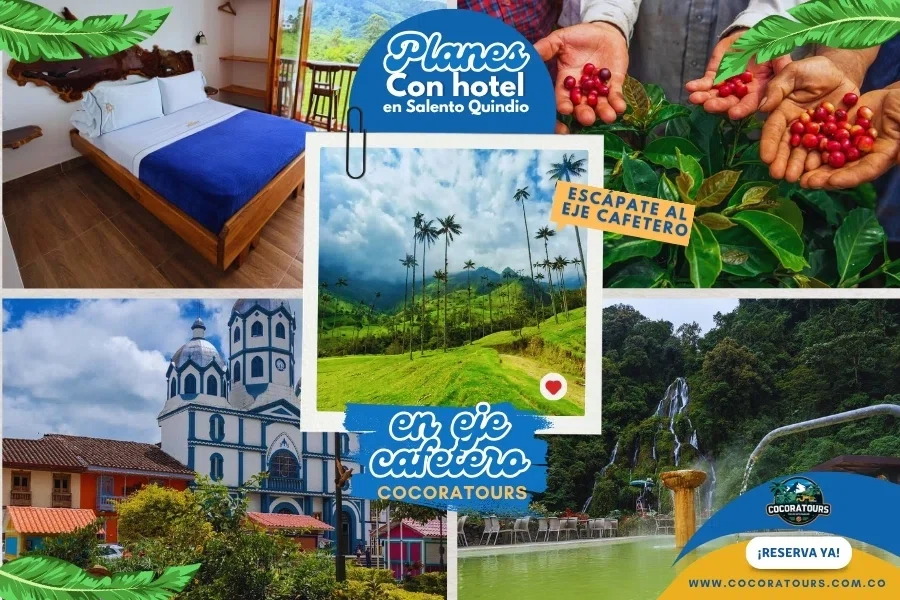 Plan Valle del cocora, fincas de cafe, filandia con tour del cacao y termales de Santa rosa
