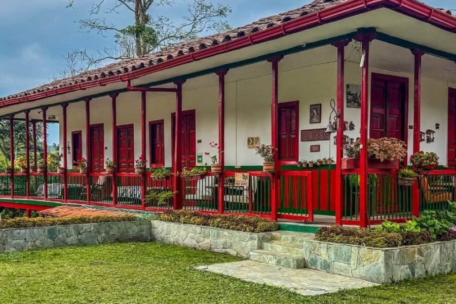 Tour premium finca cafetera el Ocaso