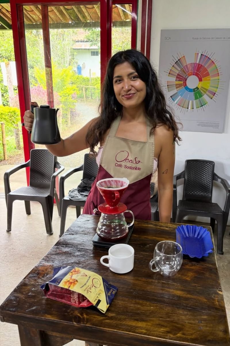 Tour premium finca cafetera el Ocaso