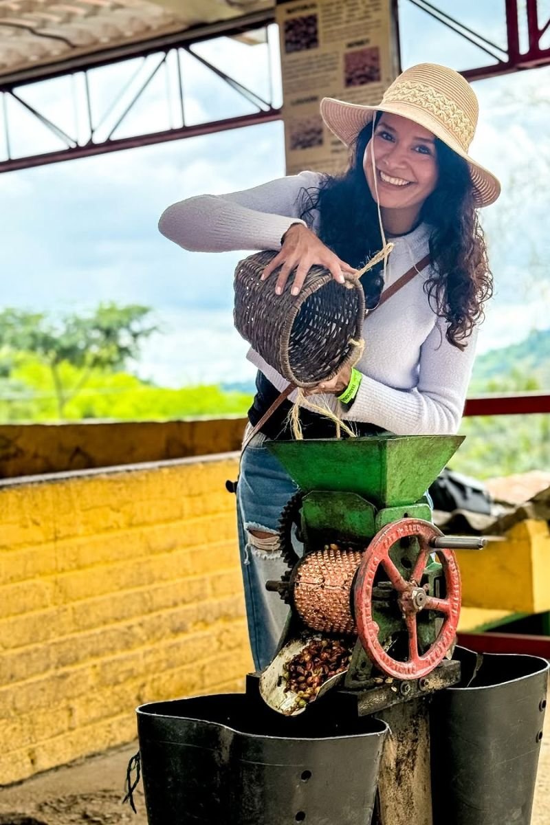 Tour premium finca cafetera el Ocaso