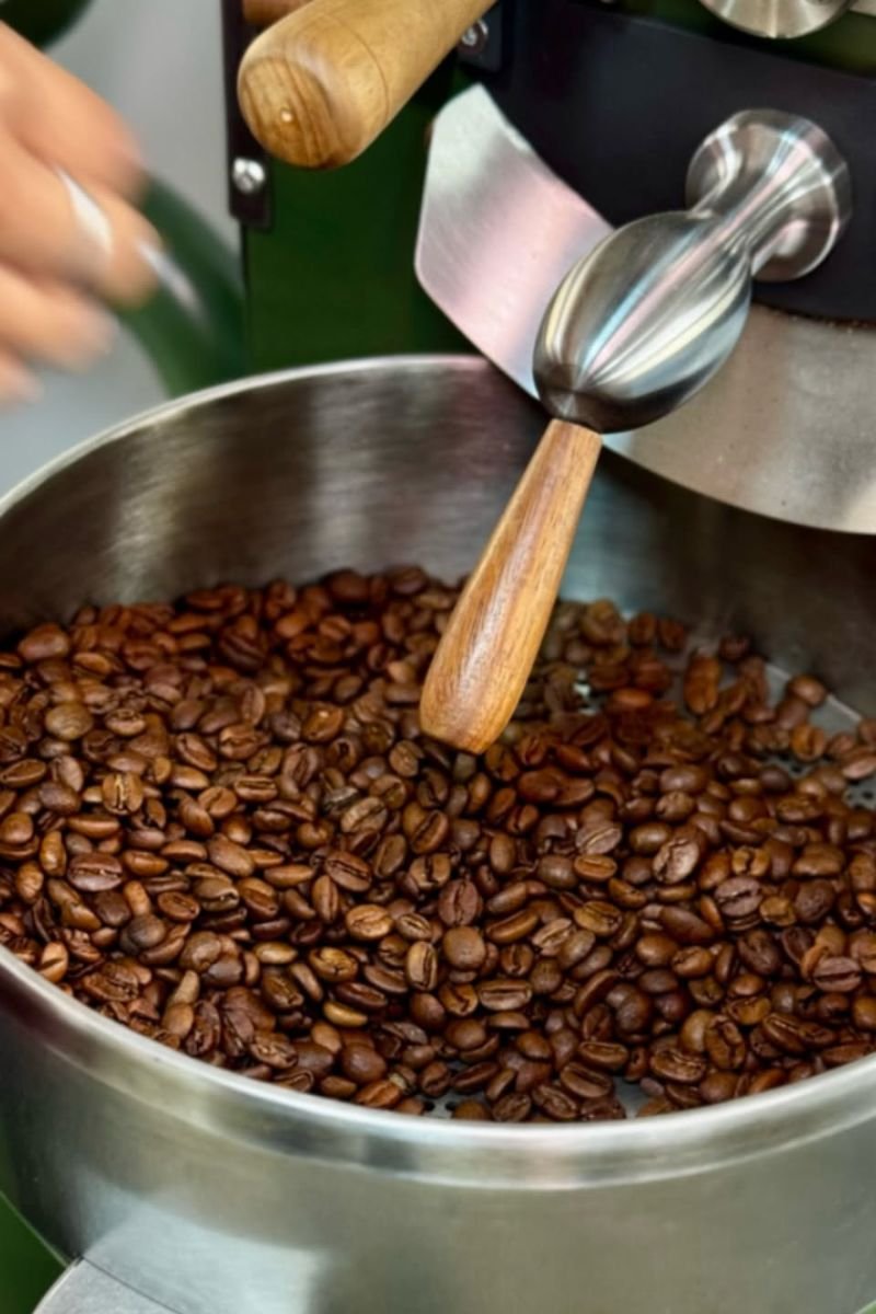 Tour premium finca cafetera el Ocaso