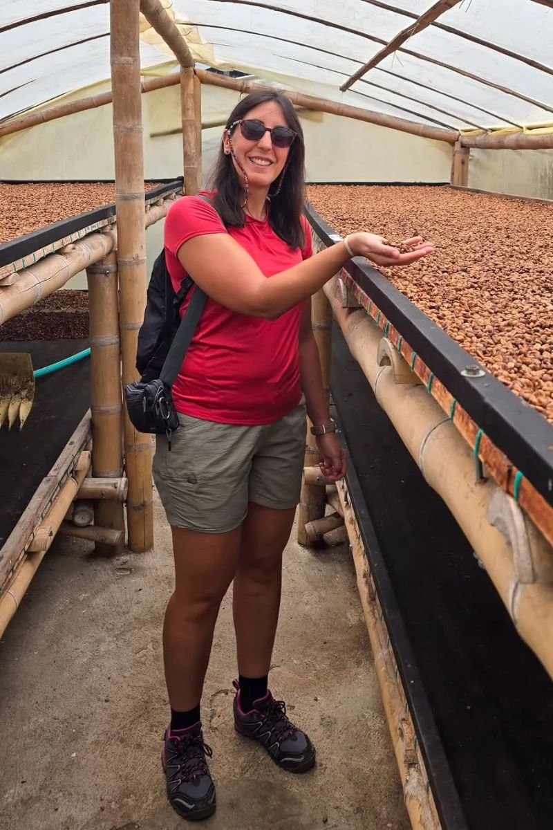 Tour premium finca cafetera el Ocaso