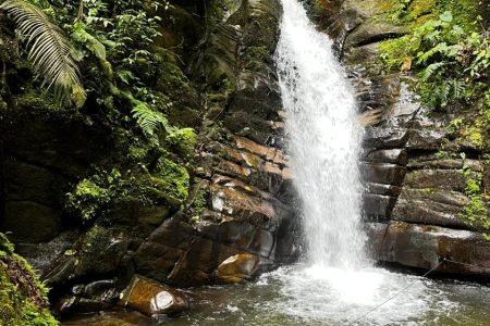 Cabalgata a los Bosques Mágicos y Cascada Santa Rita