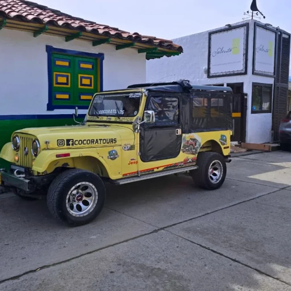 El Valle del Cocora en imágenes
