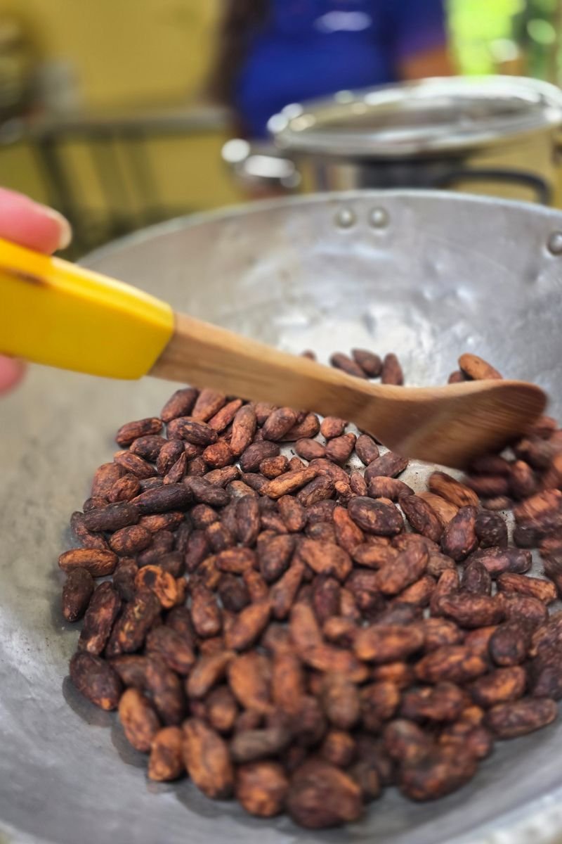 Tour del Cacao & Chocolaterapia en Filandia Quindio