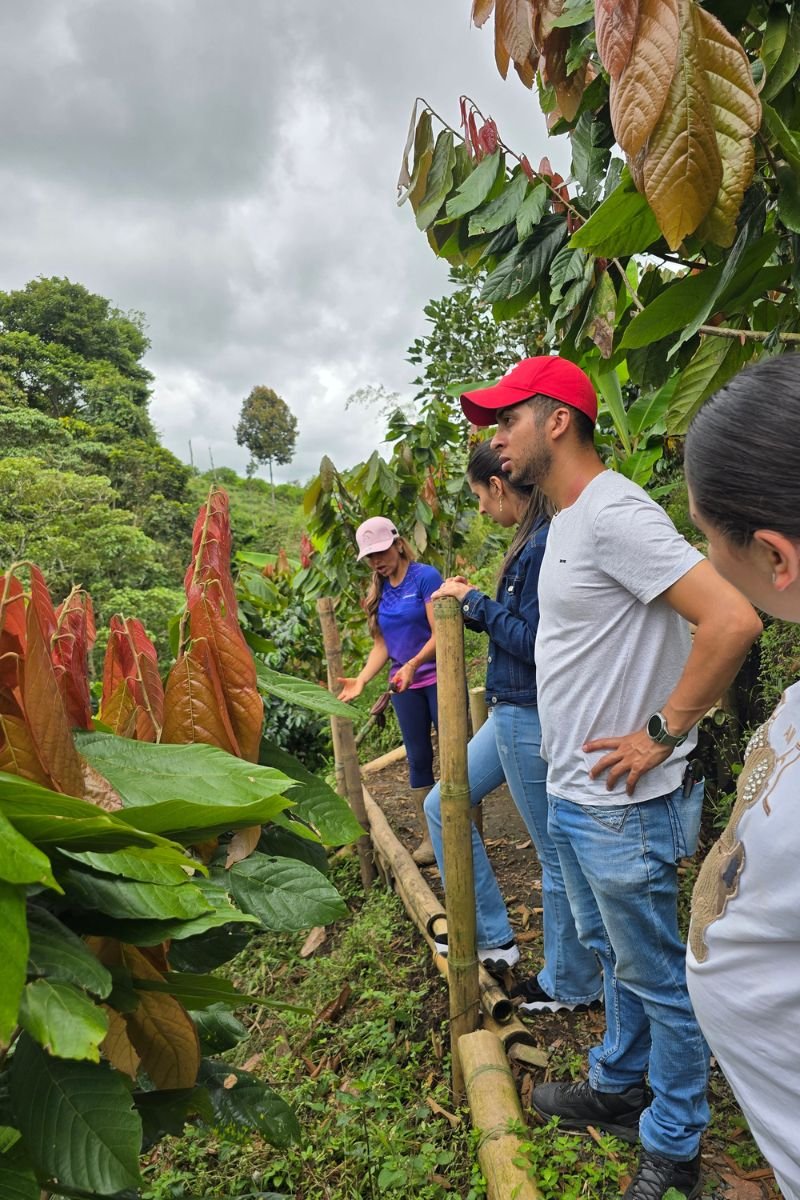Tour del Cacao & Chocolaterapia en Filandia Quindio
