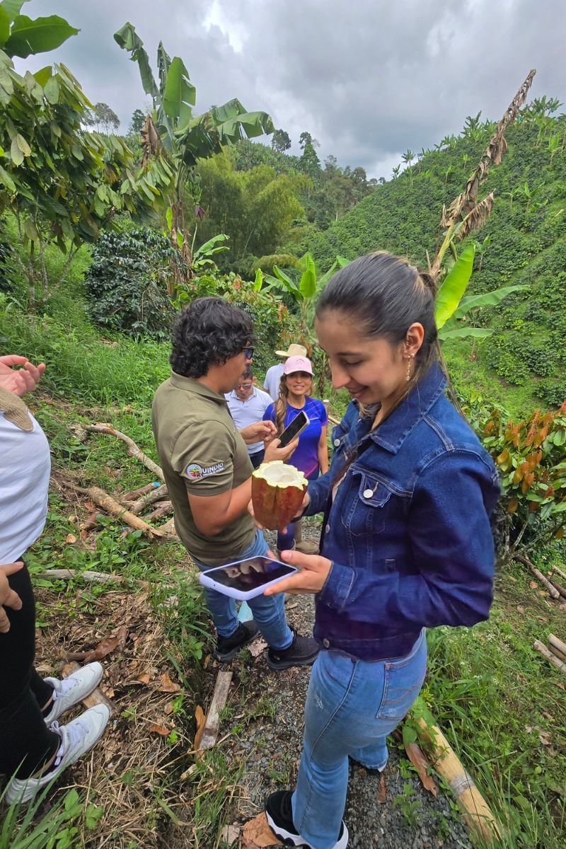 Tour del Cacao & Chocolaterapia en Filandia Quindio