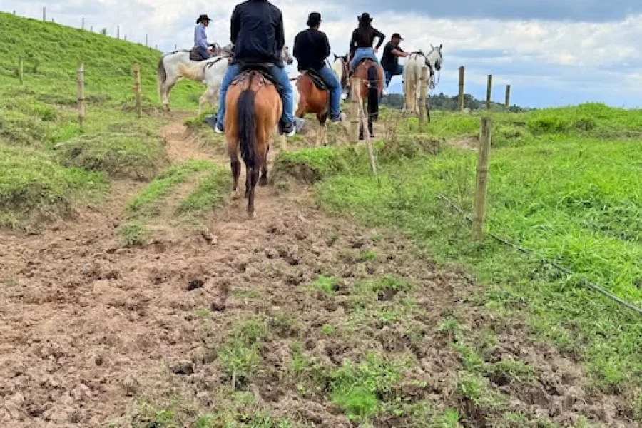 Experiencia Bremen Cabalgata de Altura en Filandia