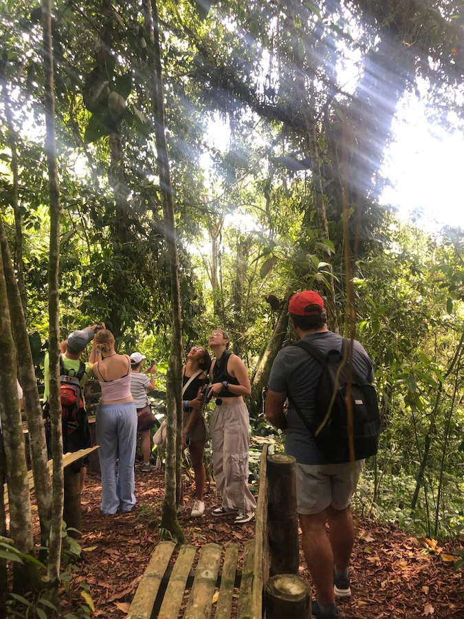Plan Valle de cocora, filandia con monos, cafe y termales