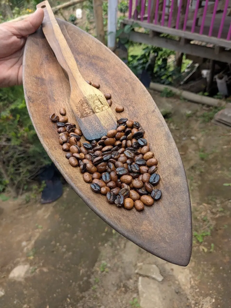 Coffee Tour Finca Luger con Transporte Privado