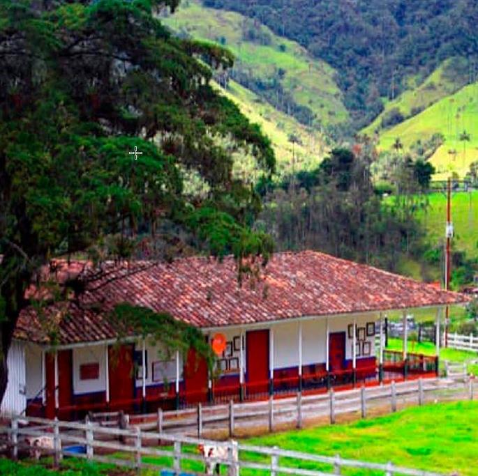 Hospedaje en Finca San José valle del cocora