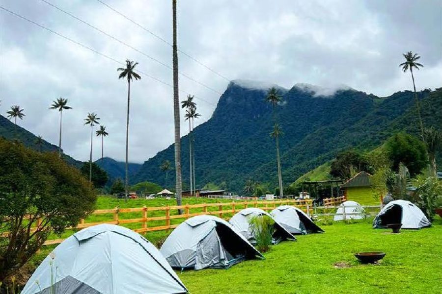 Zona de camping JuanB valle del cocora